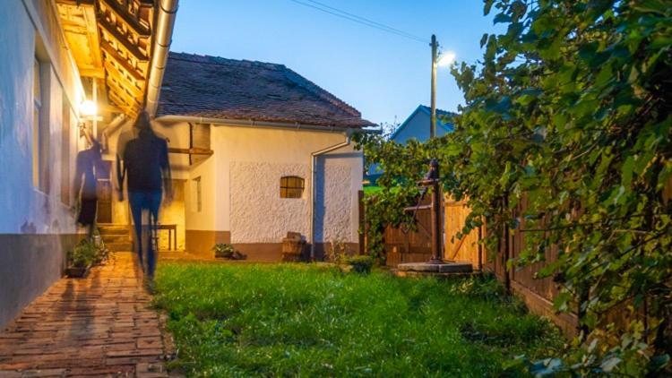 Cejkovicky Domek Cejkovice  Buitenkant foto